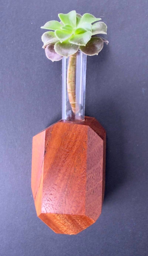 Magnet Vase