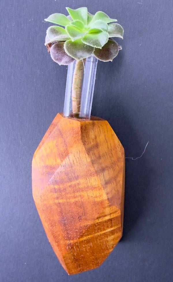 Magnet Vase