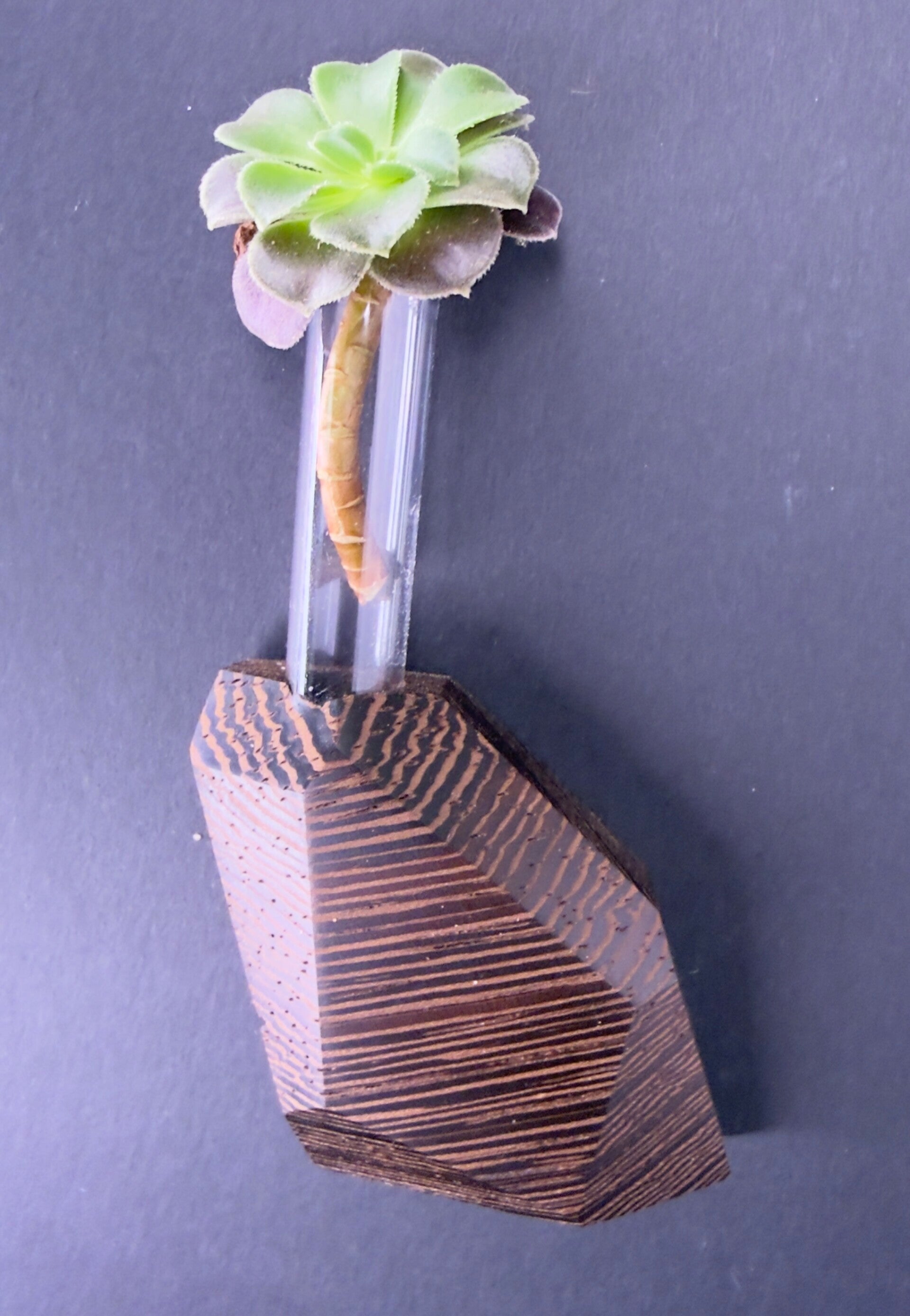 Magnet Vase