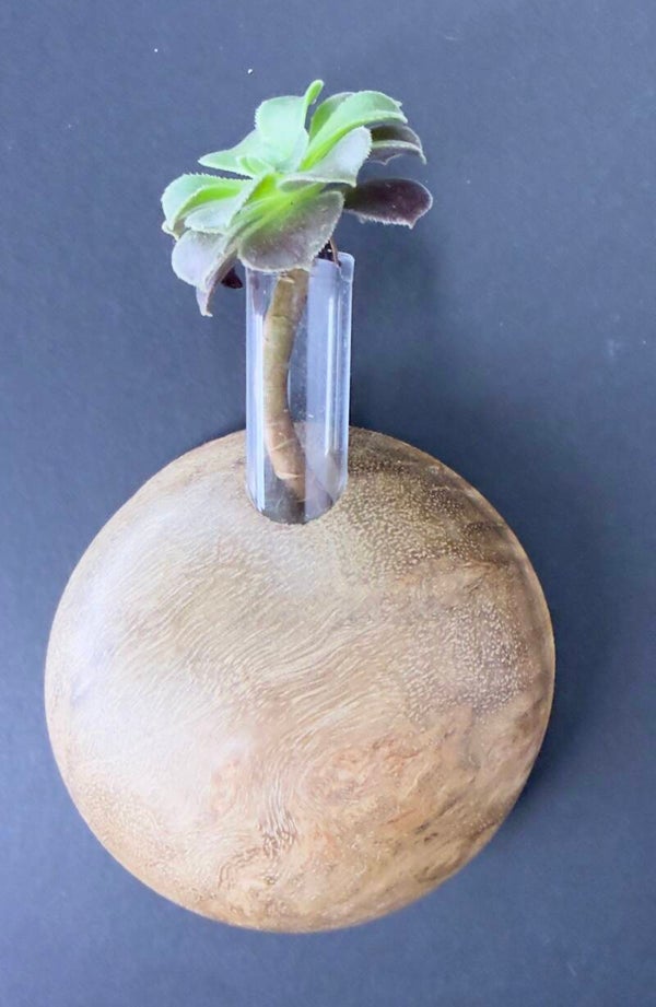 Magnet Vase