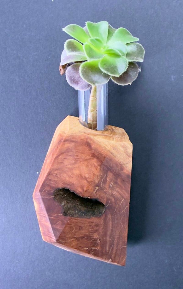 Magnet Vase