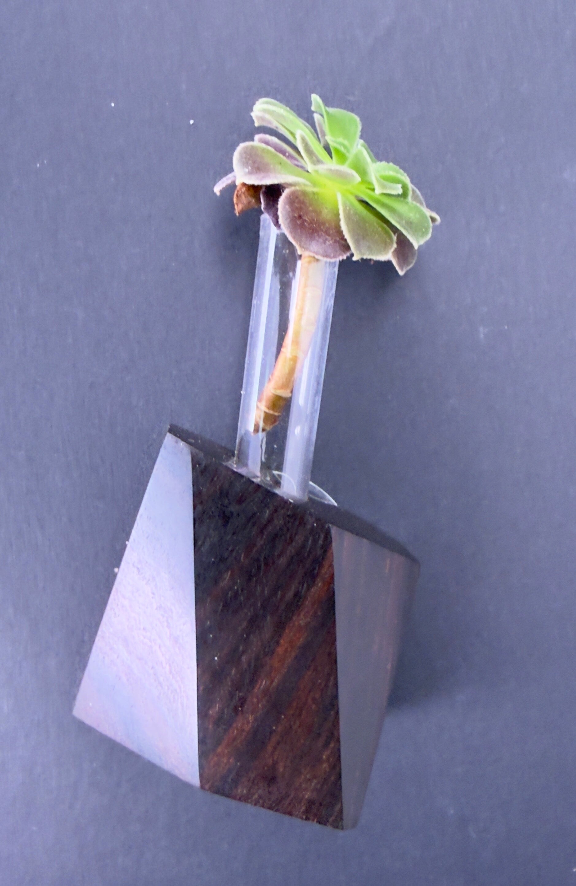 Magnet Vase