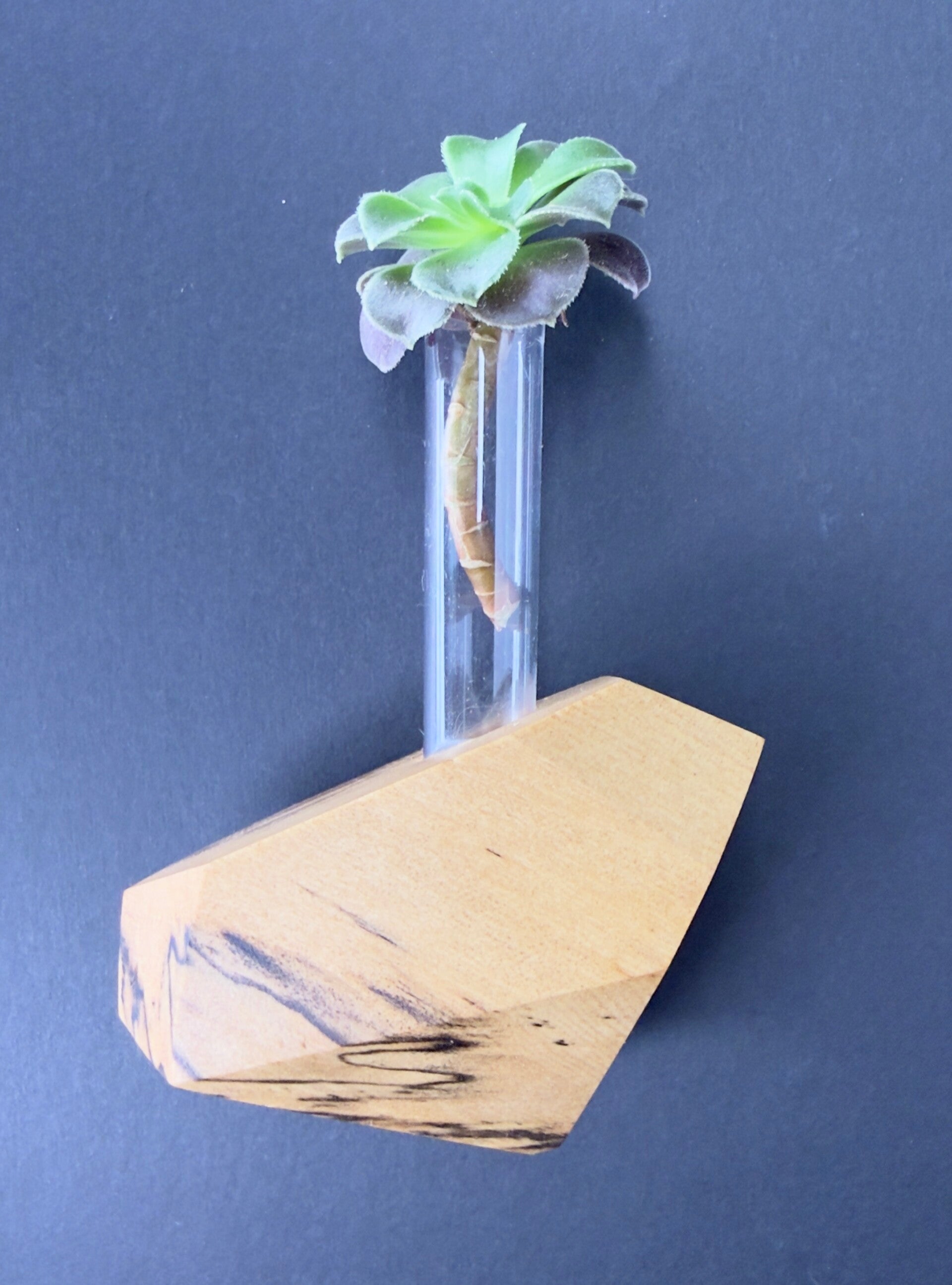 Magnet Vase