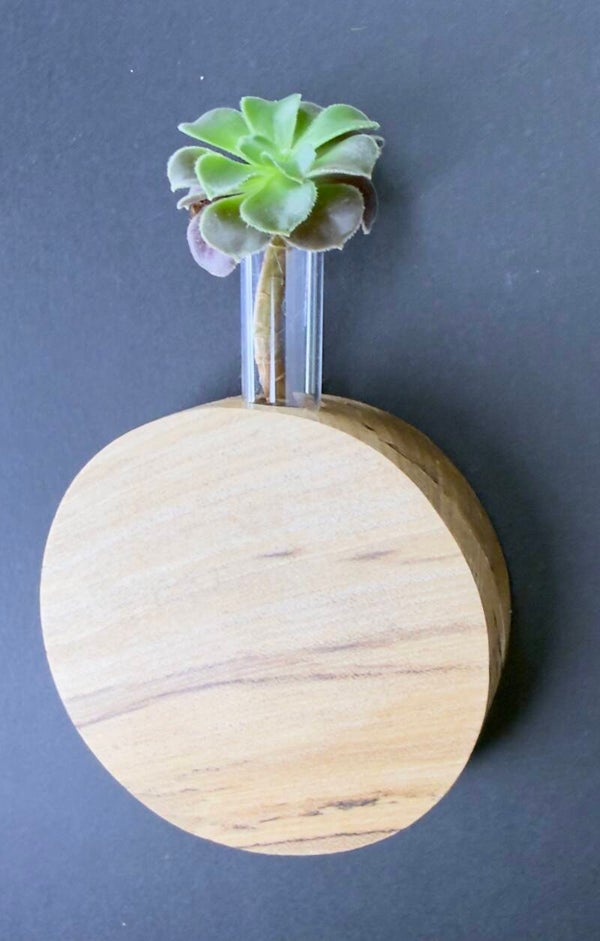 Magnet Vase