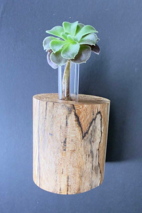 Magnet Vase