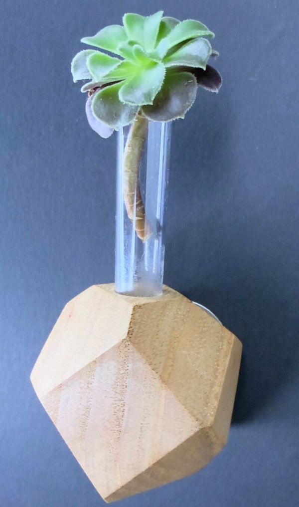 Magnet Vase