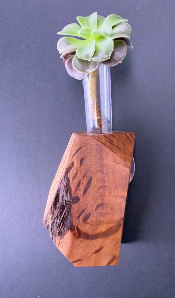 Magnet Vase