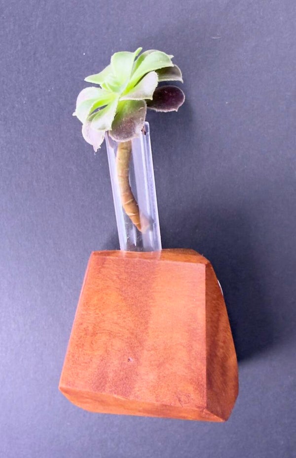 Magnet Vase