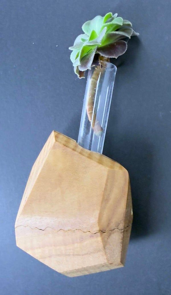 Magnet Vase