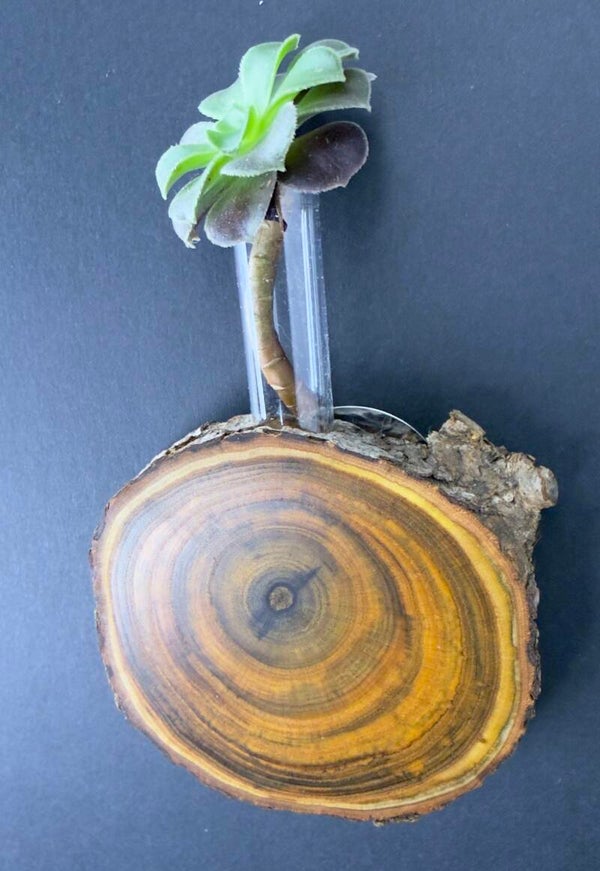 Magnet Vase
