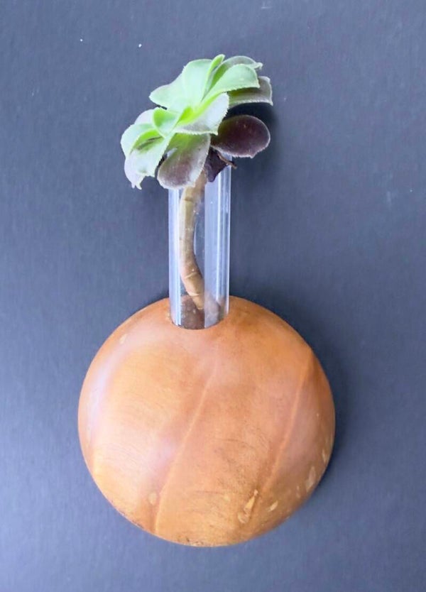 Magnet Vase