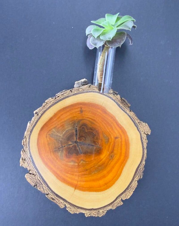 Magnet Vase