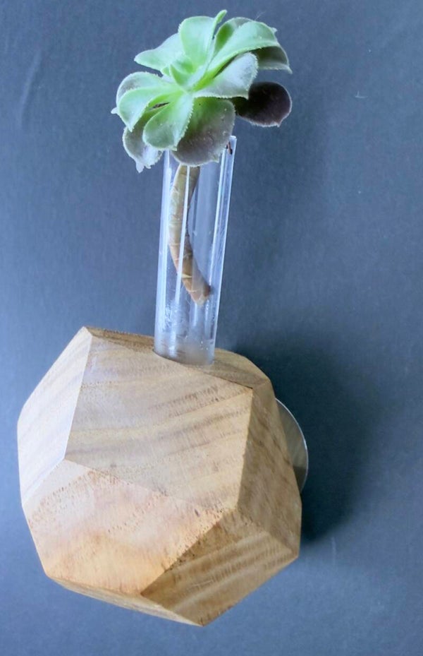 Magnet Vase