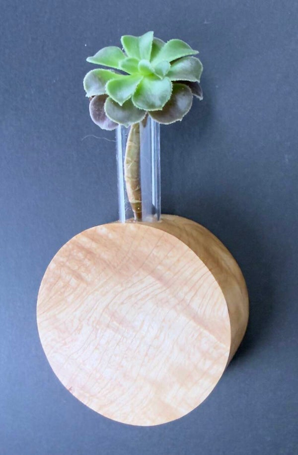 Magnet Vase