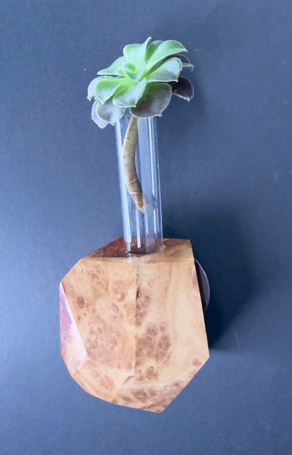 Magnet Vase