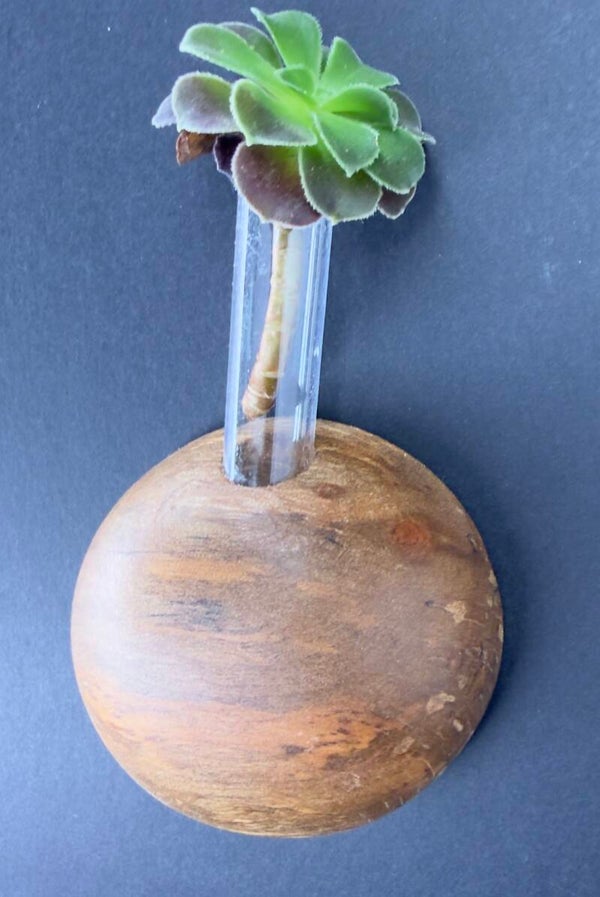 Magnet Vase