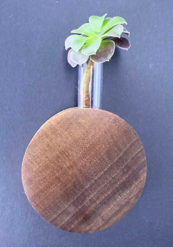 Magnet Vase