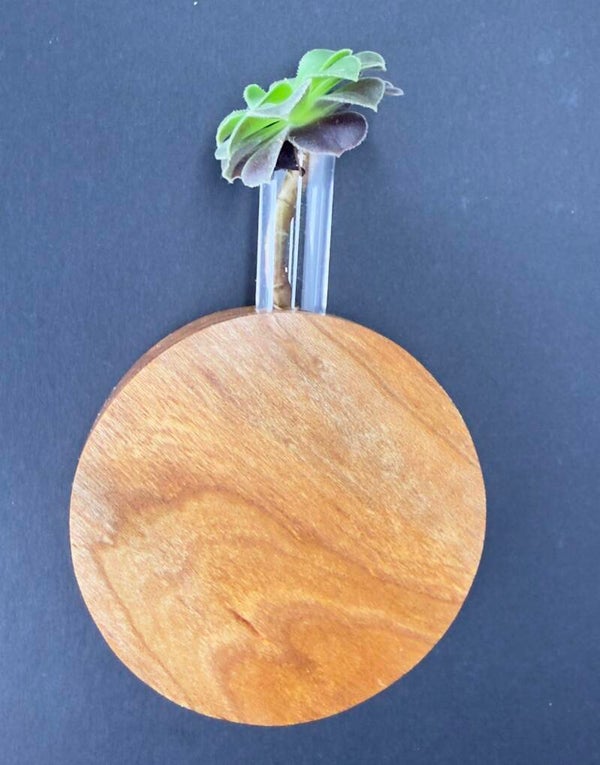 Magnet Vase