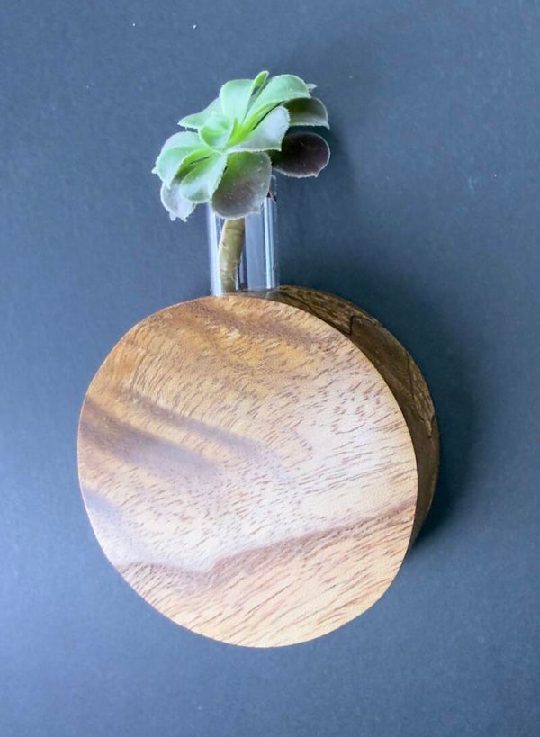 Magnet Vase
