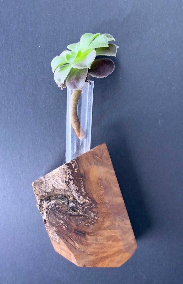 Magnet Vase