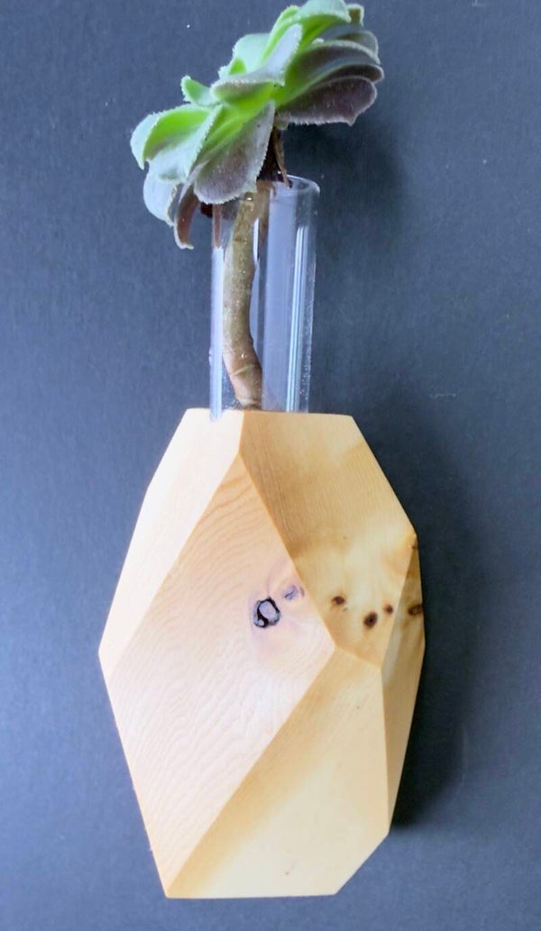 Magnet Vase