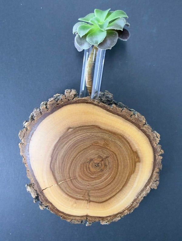 Magnet Vase