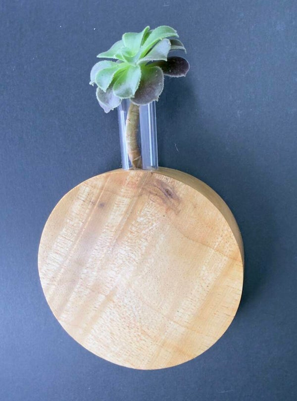 Magnet Vase