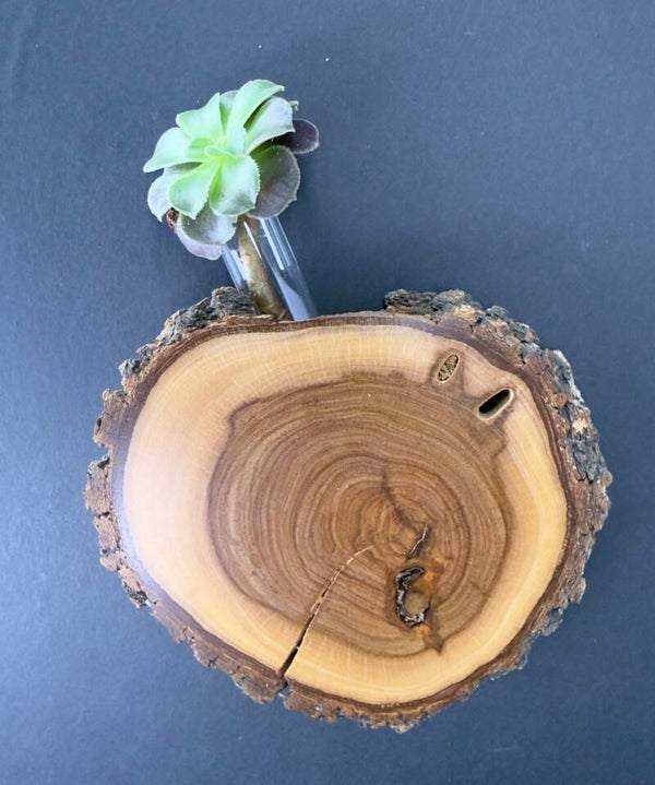 Magnet Vase