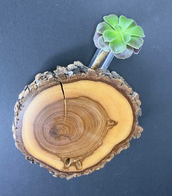 Magnet Vase