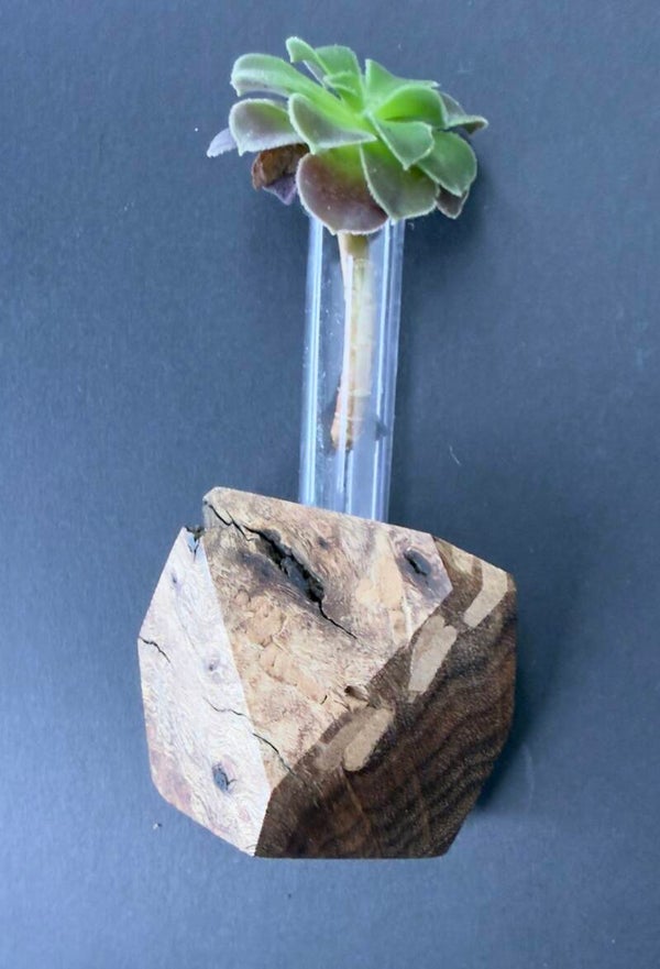 Magnet Vase