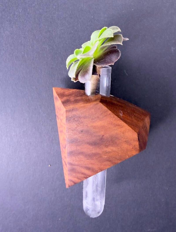 Magnet Vase