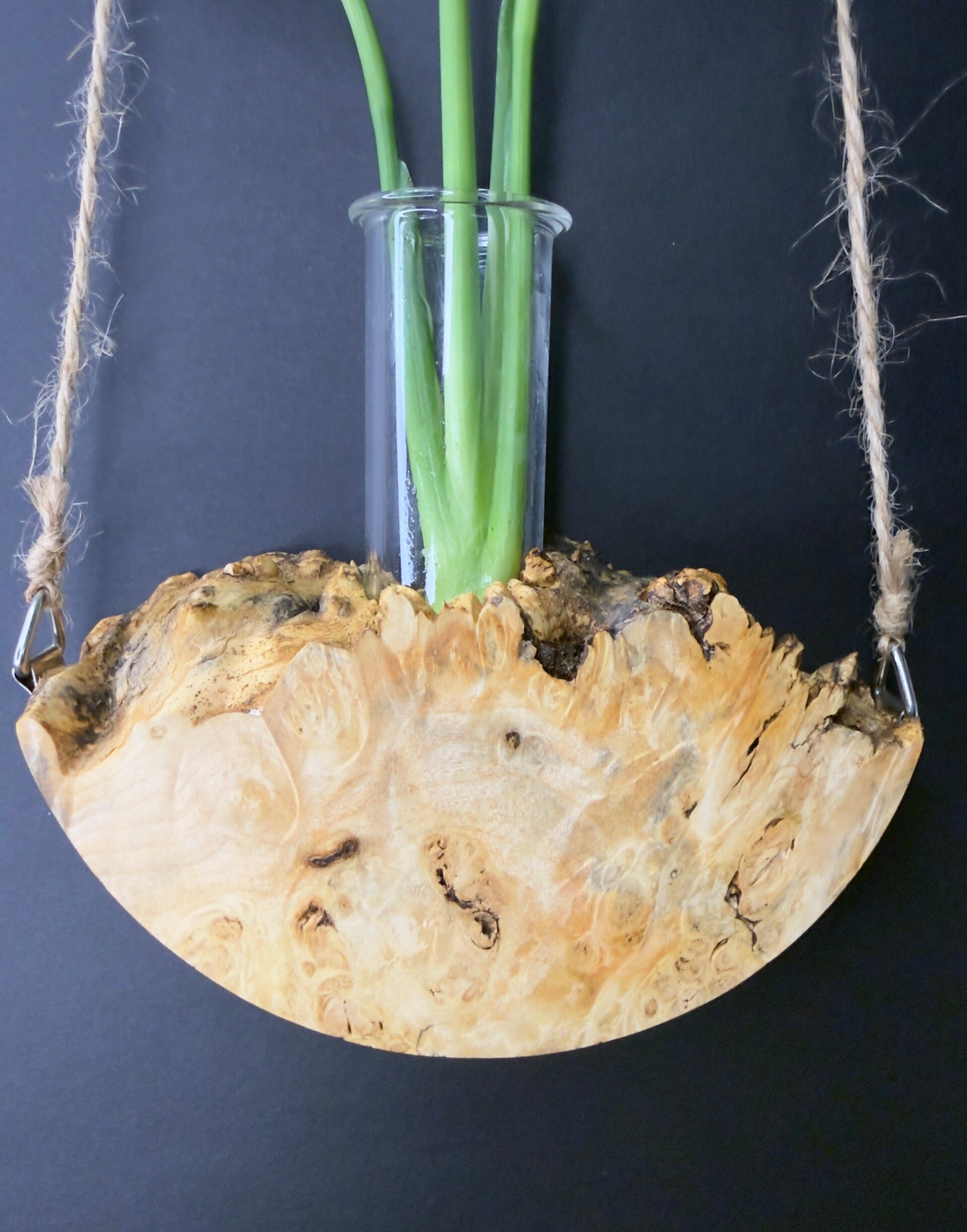 Hanging timber vase - Box Elder Burl