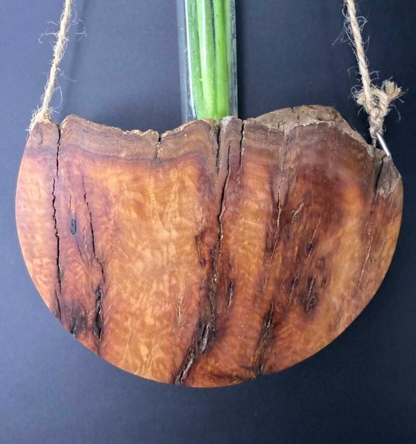 Hanging timber vase - Yellow Box