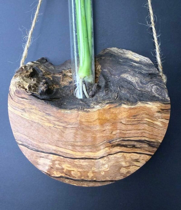 Hanging timber vase - Spalted Tasmanian Myrtle