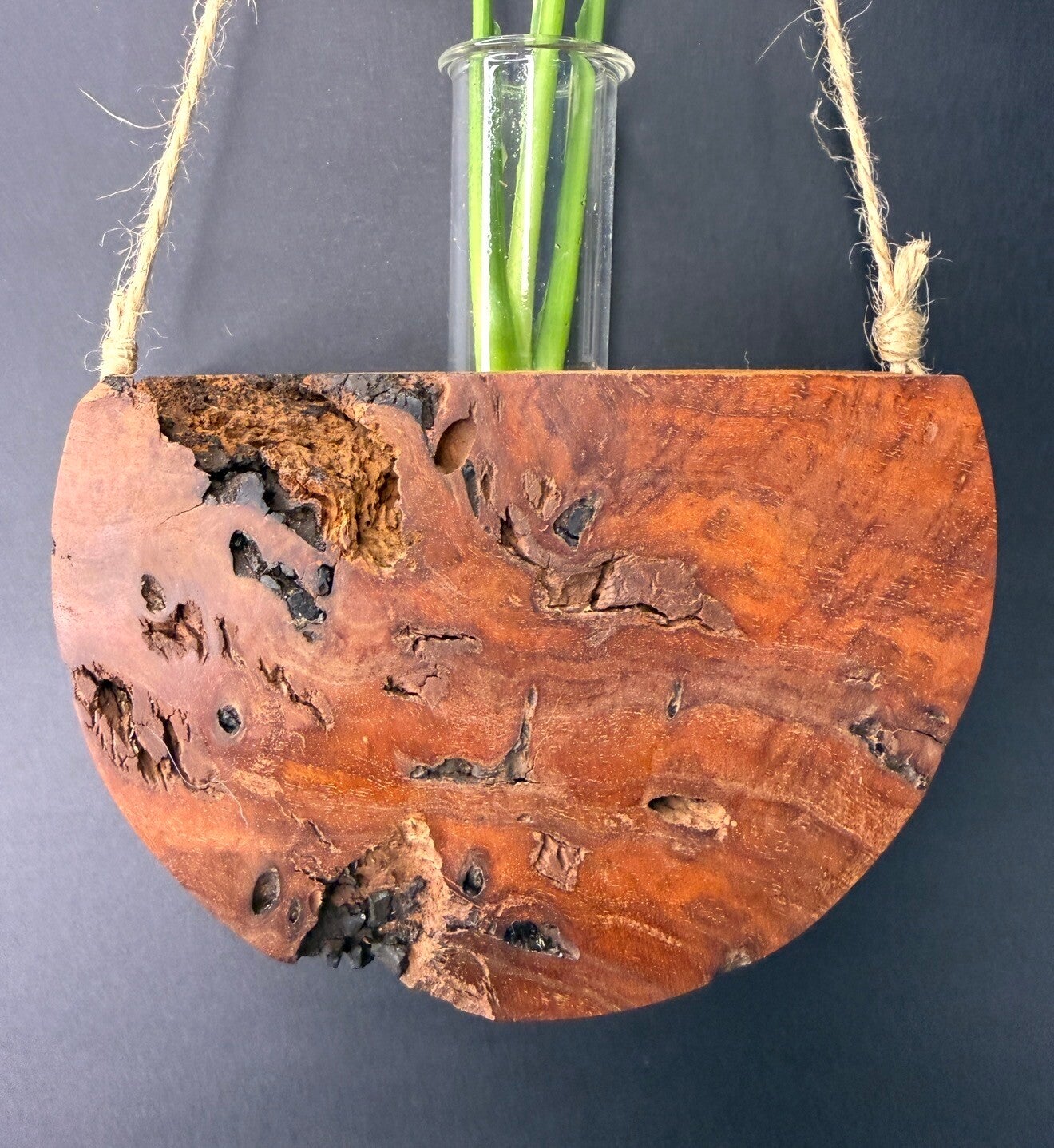 Hanging timber vase - Red Gum Burl