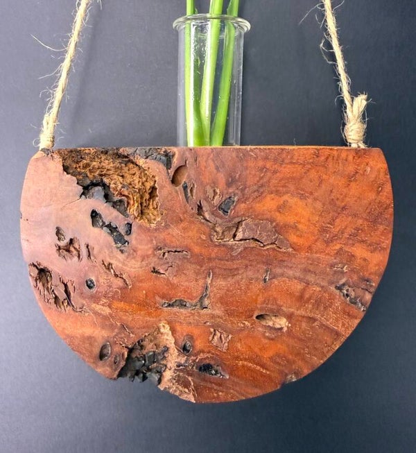 Hanging timber vase - Red Gum Burl
