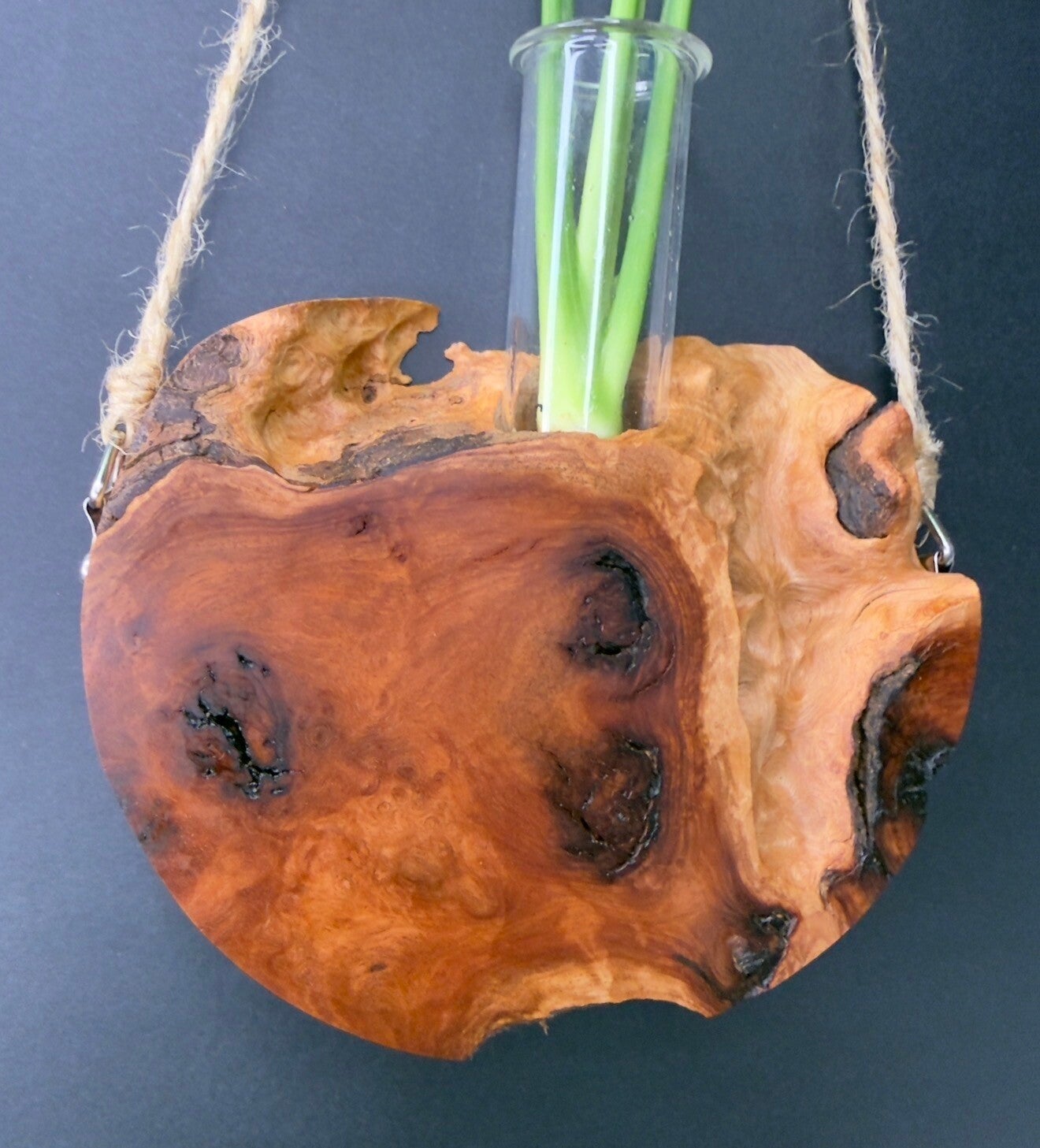Hanging timber vase - Red Gum Burl