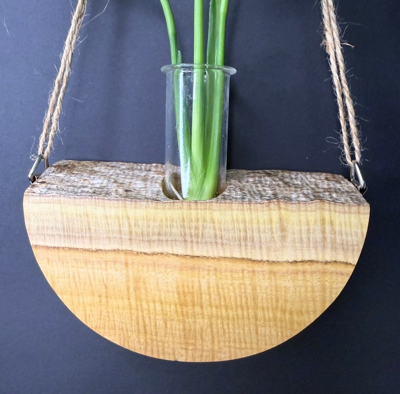 Hanging timber vase - Figured Sugar Gum
