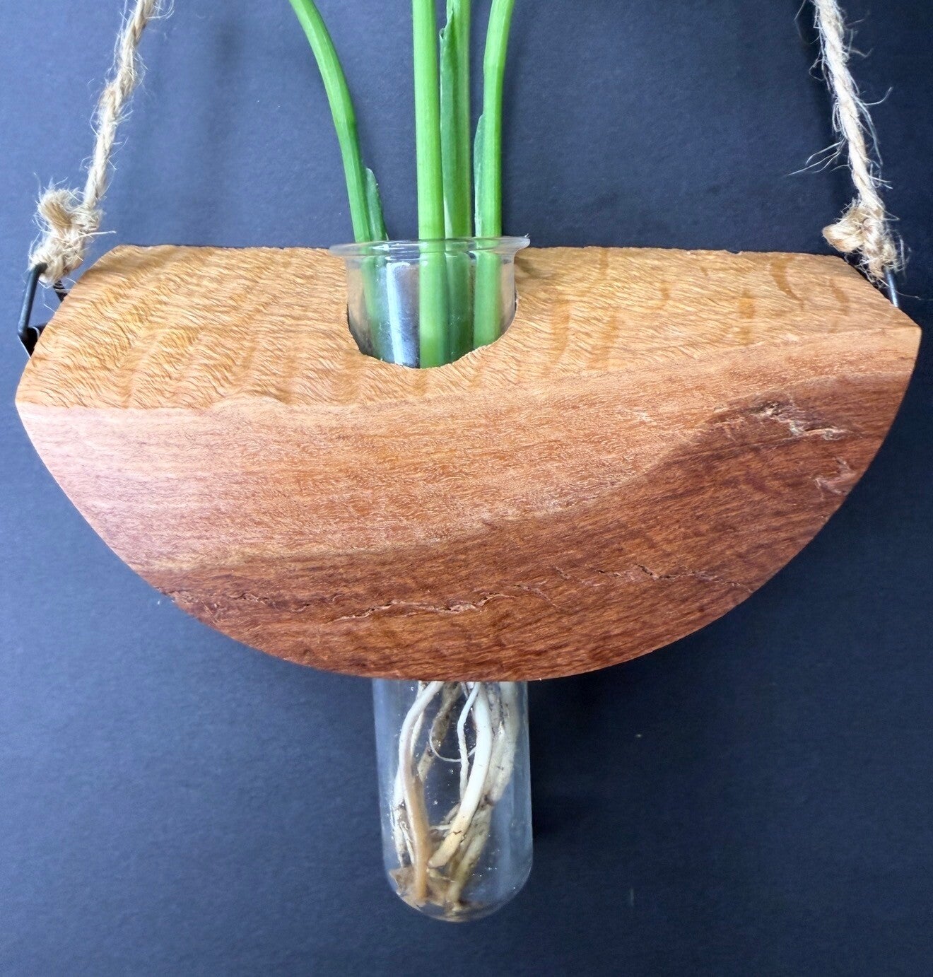 Hanging timber vase - Red Mallee Burl
