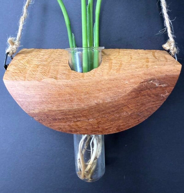 Hanging timber vase - Red Mallee Burl
