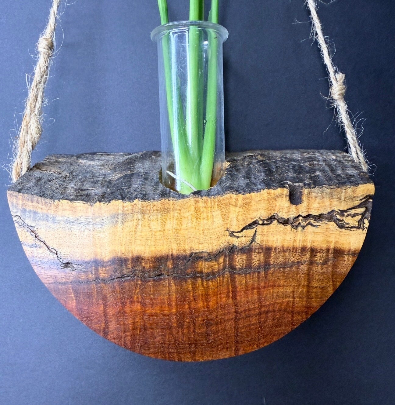 Hanging timber vase - Ringed Gidgee