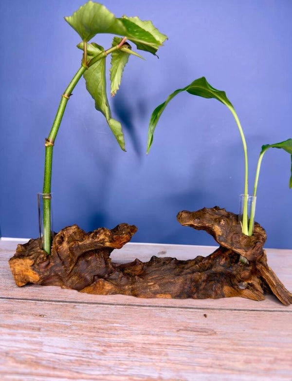 Standing Vase - Musk Burl
