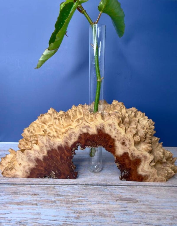 Standing Vase - Red Mallee Burl