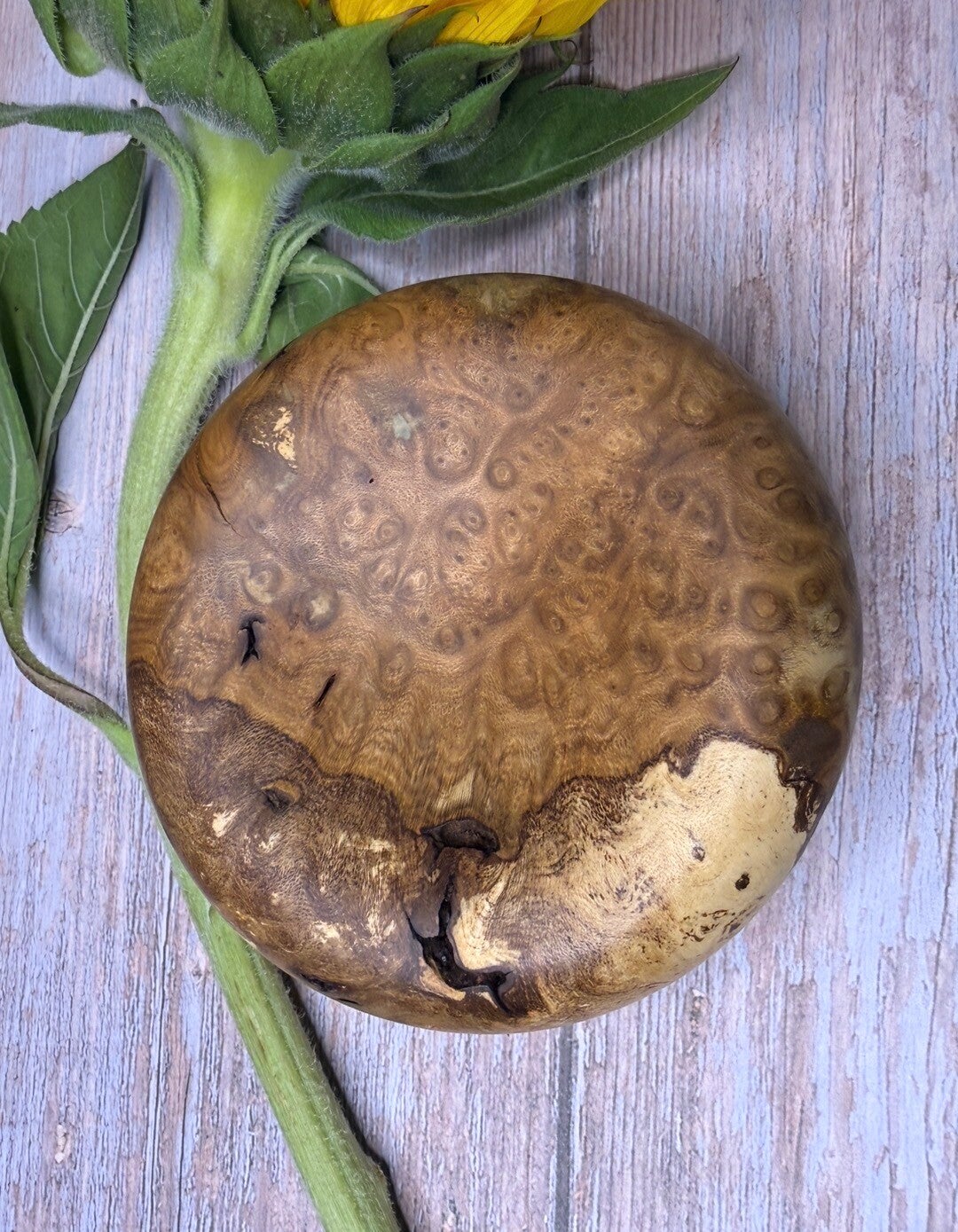 Pillow trinket dish - Musk Burl