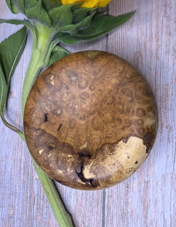 Pillow trinket dish - Musk Burl