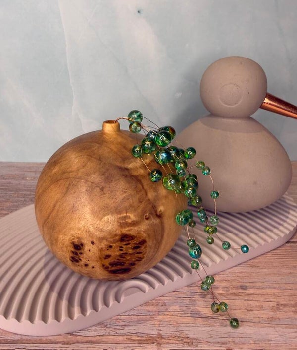 Dried Bud Vase - Poplar Burl
