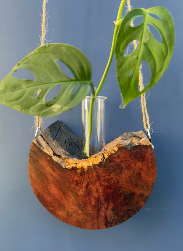 Hanging timber vase - Red Mallee Burl