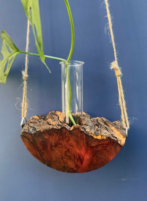 Hanging timber vase - Red Mallee Burl