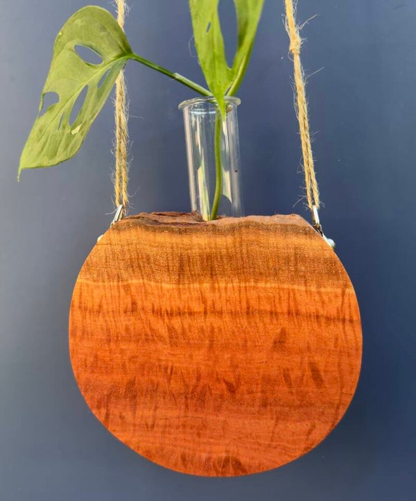 Hanging timber vase - Figured Red Gum
