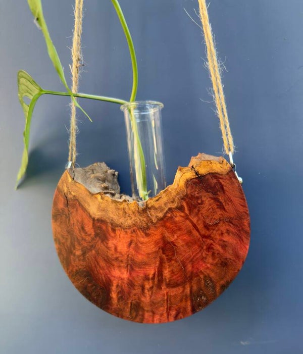 Hanging timber vase - Red Mallee Burl